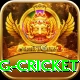 1st inning betting cricket VIP v4.9.1