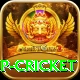2022 world cup cricket Turbo v5.6.8