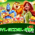 all cricket live score Prime New