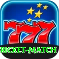 all cricket match Gold Edition v4.5.8