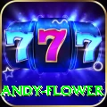 andy flower Turbo Pro v3.2.9