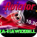 antigua hawksbill Elite v1.9.0
