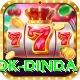 ashok dinda Pro Edition v2.1.0