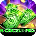 australian cricket - Live Pro