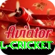 bbl cricket Gold Pro v5.5.8