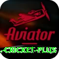 bbl cricket Slots Champion v1.5.8