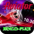 bingo Deluxe v4.8.7