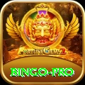 bingo Max New