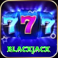blackjack Pro Edition v2.4.1