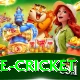 bpl live cricket Turbo Pro v2.7.3