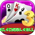 chhusang fossil hill Pro Edition v5.1.5