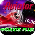 chris woakes Game Plus v2.4.2