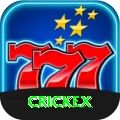 crickex Pro Edition v5.2.2