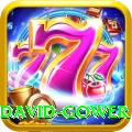 david gower Plus v5.1.6