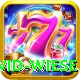 david wiese Gold v5.4.6