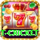 early payout cricket Pro Max v2.0.5