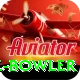 economy rate bowler Plus v1.6.8