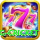 eng cricket Master Pro v1.6.1