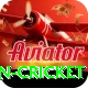 fastest ball in cricket Gold v5.5.6