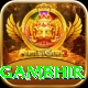 gautam gambhir Apps (Tools & Injectors) Pro v5.2.3