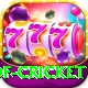 god of cricket Games (Casino & Earning) Turbo v1.0.9