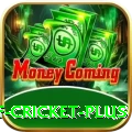 god of cricket Games Turbo