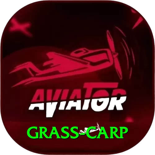 grass carp Turbo v5.4.5 - 2