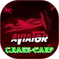 grass carp Turbo v5.4.5