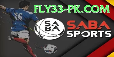 ptv sports live psl Live Mega v1.5.6 Screenshot 3 - 5