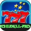 india cricket match schedule APK Premium v2.0.4