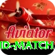 india new zealand match Premium v3.1.9