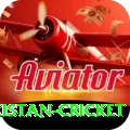 india pakistan cricket Plus Edition v5.4.4