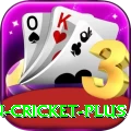 india pakistan cricket Extreme Gaming App