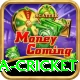 india sri lanka cricket VIP Pro v2.4.7