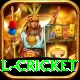 international cricket Max Pro v4.1.4