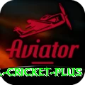international cricket Deluxe Slots