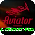 international cricket Pro New