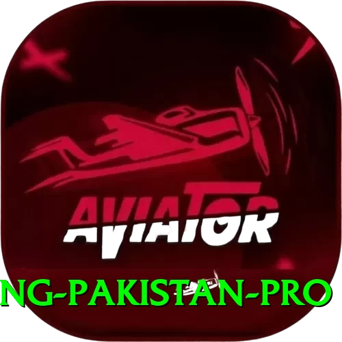 IPL Betting Pakistan Live Casino Max - 2