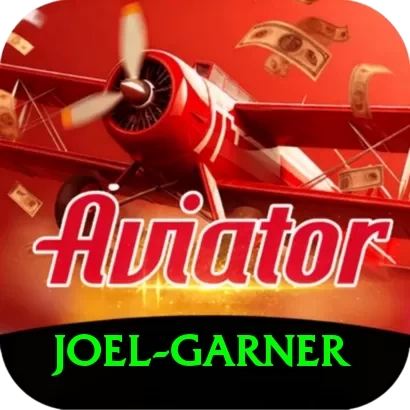 joel garner Pro Edition v4.2.4 - 2