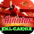 joel garner Pro Edition v4.2.4
