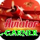 joel garner Pro Edition v4.2.4