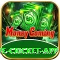 live cricket app VIP Edition v1.3.8