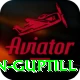 martin guptill Gold v1.8.6