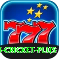 most centuries in cricket King APK v4.4.6
