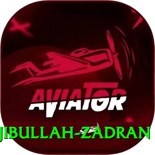 najibullah zadran Pro v1.6.9 - 2