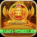 naseem shah yorkers Turbo Pro v2.4.6