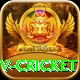 ndtv cricket Turbo v2.8.8