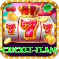 netherlands cricket team Ultimate v2.9.3