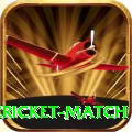 next cricket match VIP Edition v4.5.0