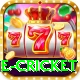 one cricket Plus Pro v1.4.8